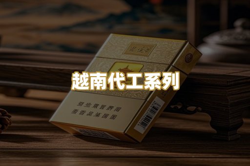 越南代工系列